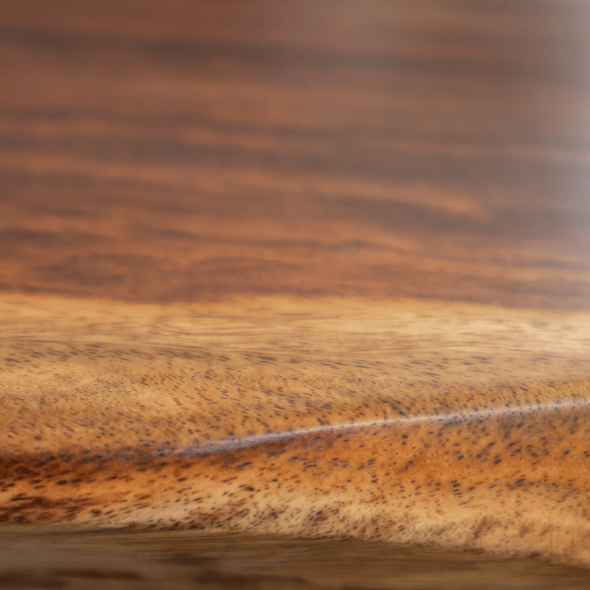 COMEDOR DE MADERA SAMÁN CON BASE METÁLICA - Imagen 7