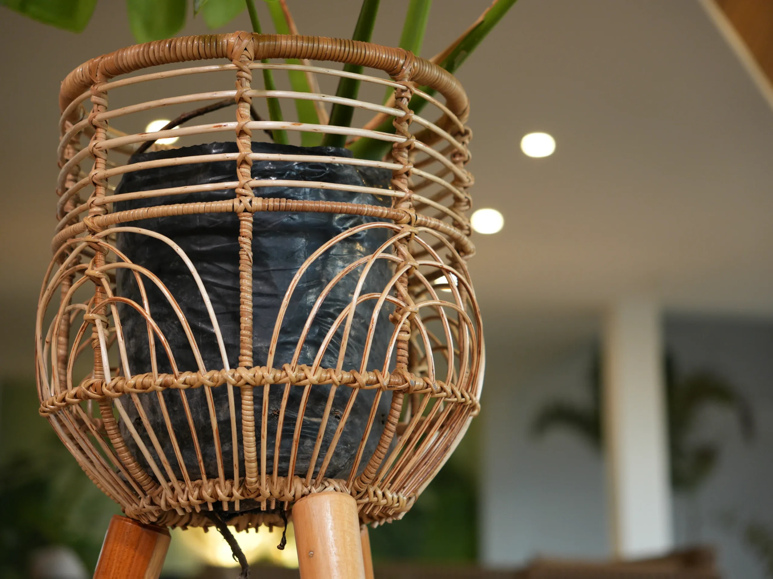 MATERA BALI GRANDE - Imagen 4